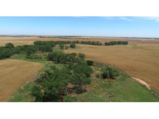 Property photo 3 - REAL ESTATE AUCTION - 296+/- ACRES OFFERED IN 2 TRACTS IN WOODS COUNTY, OKLAHOMA
